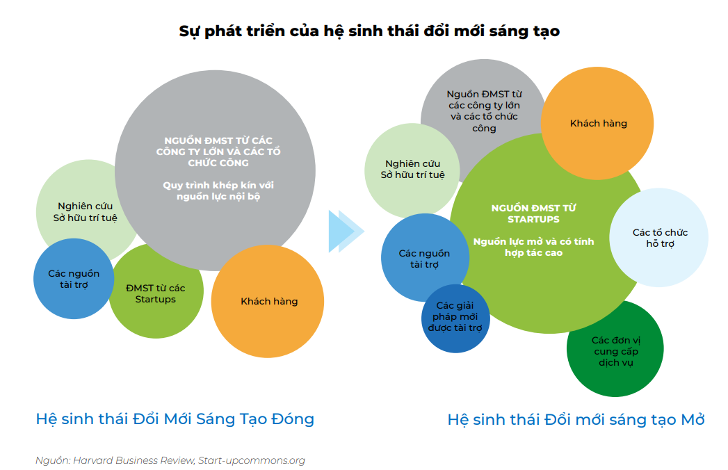 Mô hình đổi mới sáng tạo mở trong Báo cáo đổi mới sáng tạo của BambuUP
