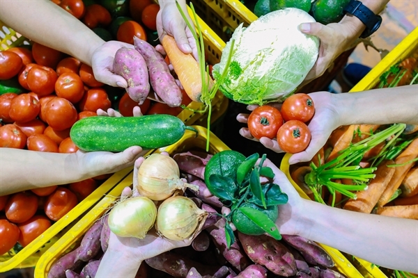 Vietnam agritech supply-chain pioneer Koina raises funds from Singapore's  Glife Technologies