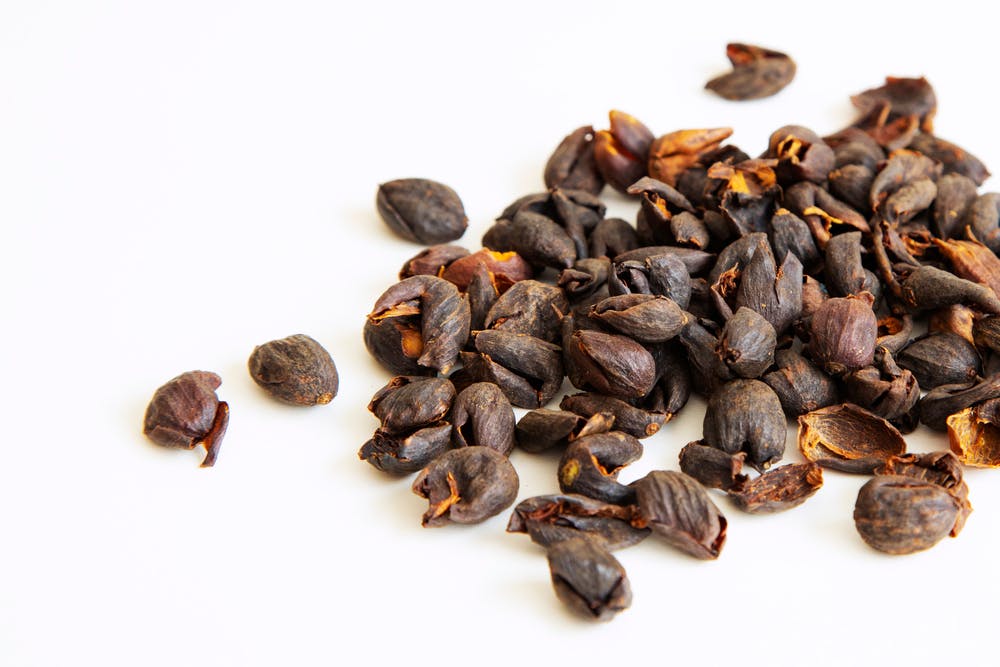 Tối Ưu Hóa Giá Trị Trà Cascara và Nông Nghiệp Tuần Hoàn