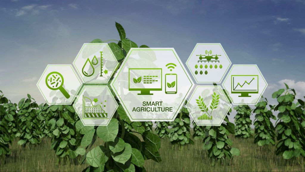 Giải pháp Quản lý dữ liệu cây xanh bằng internet vạn vật (IoT)