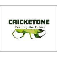 Cricket One: Bảo vệ Tương Lai với Protein Côn Trùng