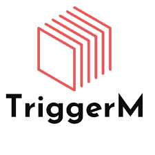 TriggerM – Marketing hàng đầu cho doanh nghiệp SMEs tại Việt Nam.