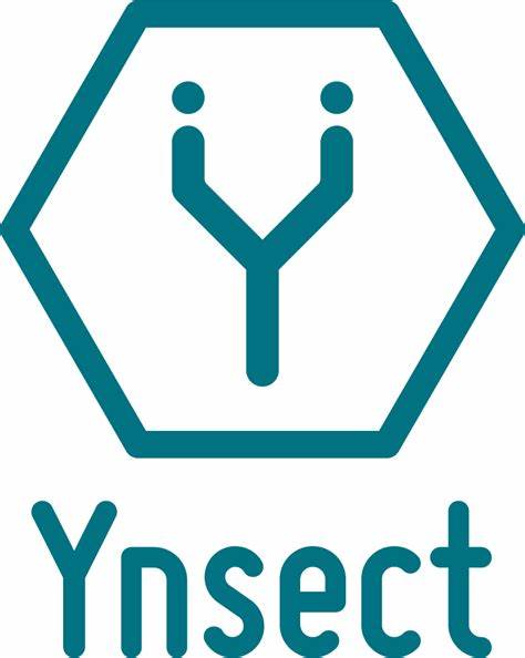 Ynsect