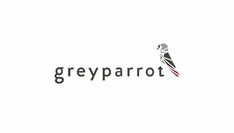 Greyparrot
