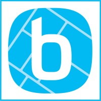 Blitz Electric