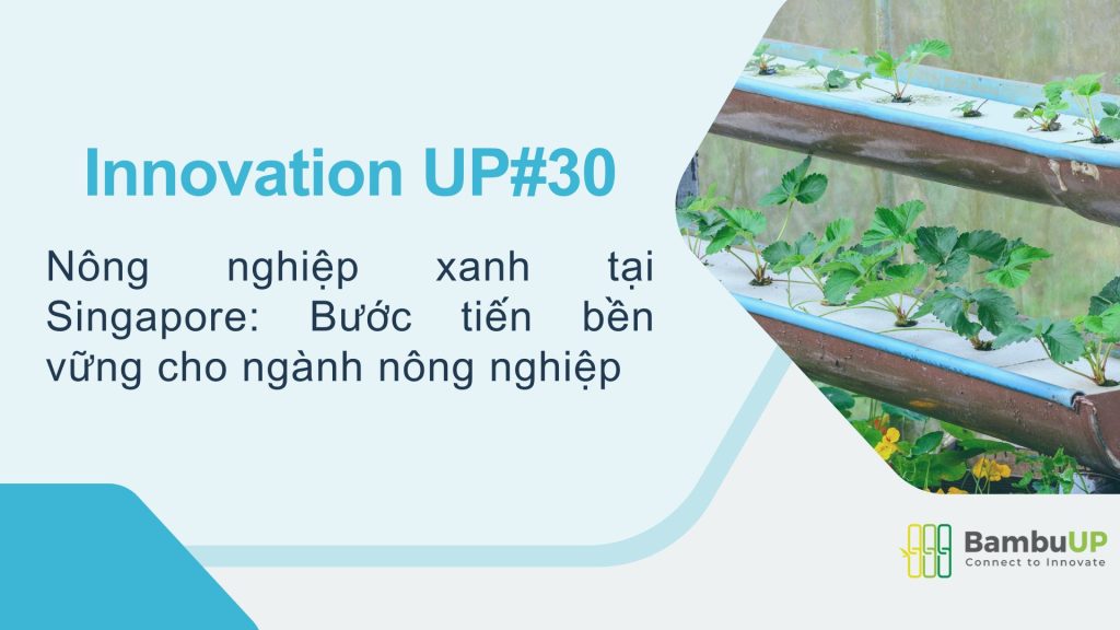 Nông nghiệp xanh tại Singapore: Bước tiến bền vững cho ngành nông nghiệp