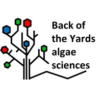 Back of the Yards algae sciences