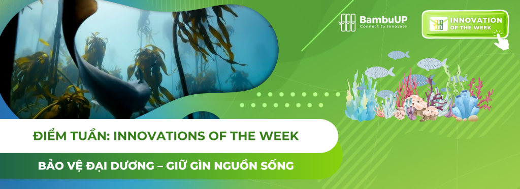 Bảo vệ đại dương – Giữ gìn nguồn sống