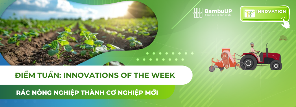 Từ rác nông nghiệp thành cơ nghiệp mới: Đổi mới sáng tạo xanh từ những gì bỏ lại