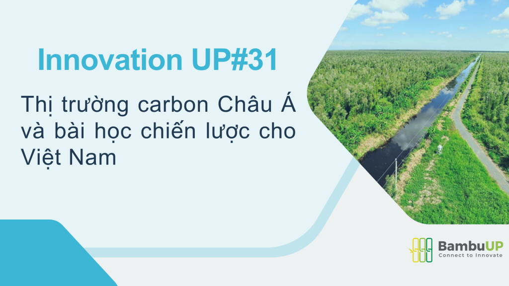 Thị trường carbon Châu Á và bài học chiến lược cho Việt Nam