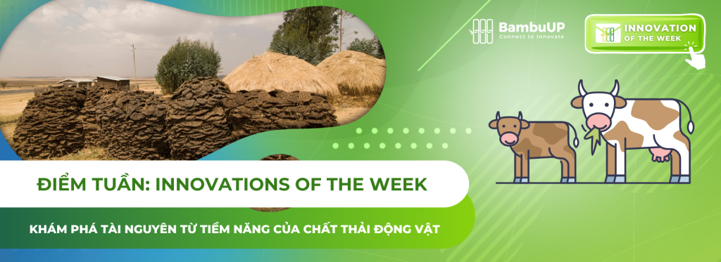 Khám phá tài nguyên từ tiềm năng của chất thải động vật