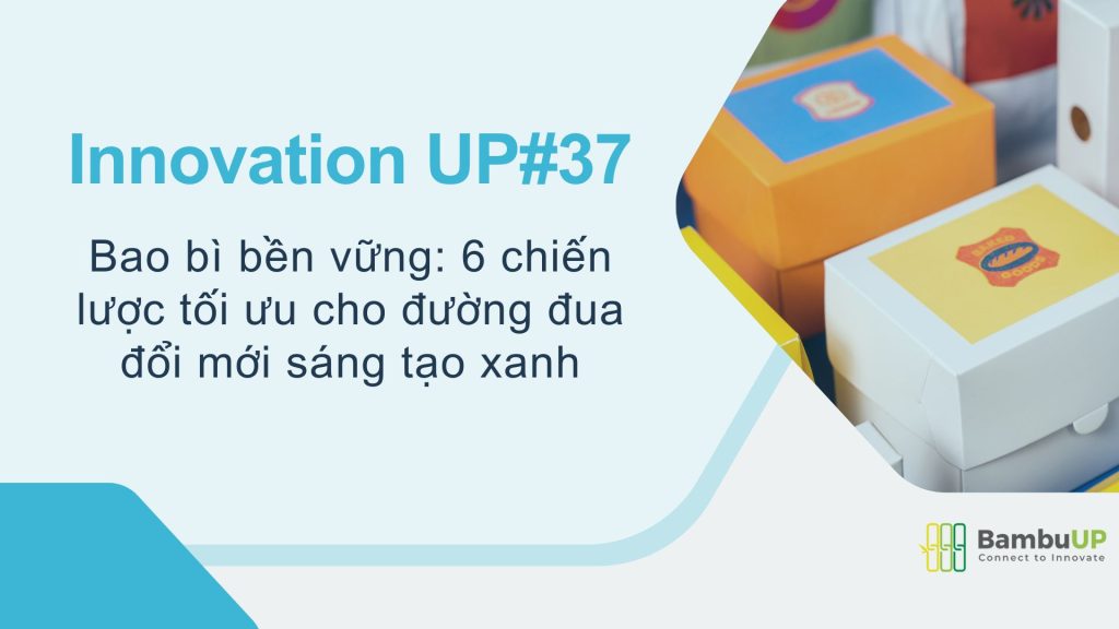 Bao bì bền vững: 6 chiến lược tối ưu cho đường đua đổi mới sáng tạo xanh