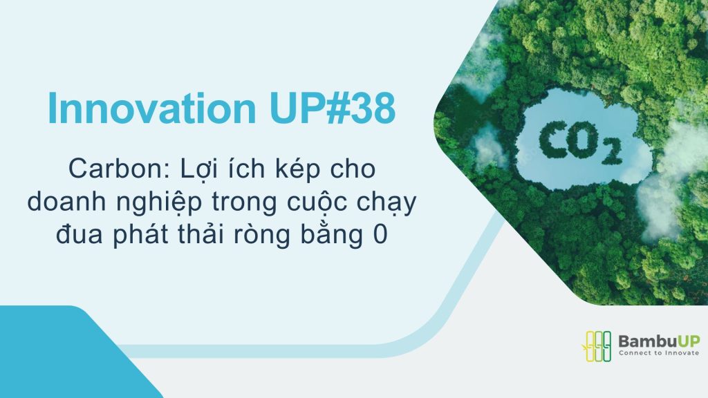 Carbon: Lợi ích kép cho doanh nghiệp trong cuộc chạy đua phát thải ròng bằng 0