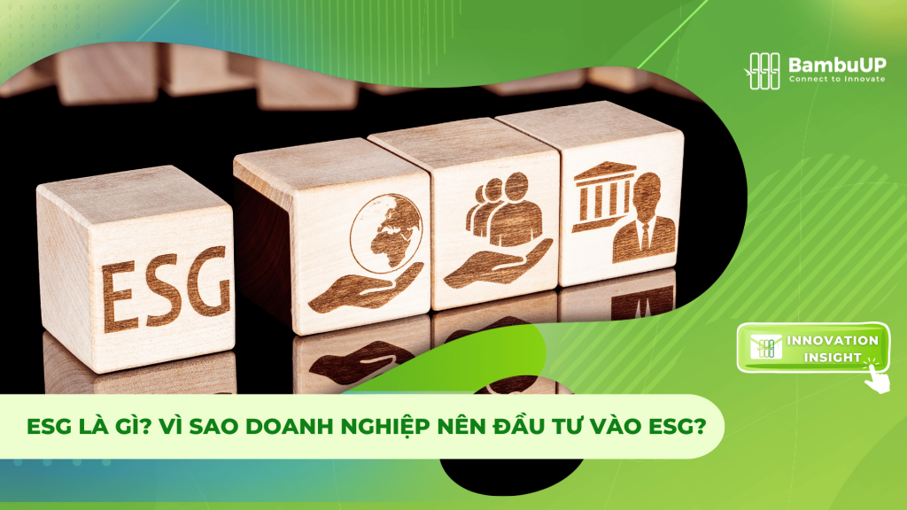 ESG Là Gì? Vì Sao Doanh Nghiệp Nên Đầu Tư vào ESG?