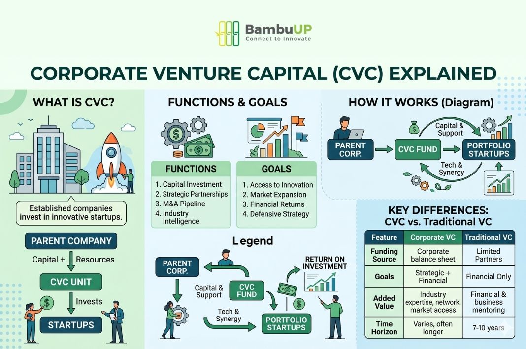 Corporate VCs provide more than just capital - they invest in alignment with the corporation’s strategic direction, enabling startups to scale much faster