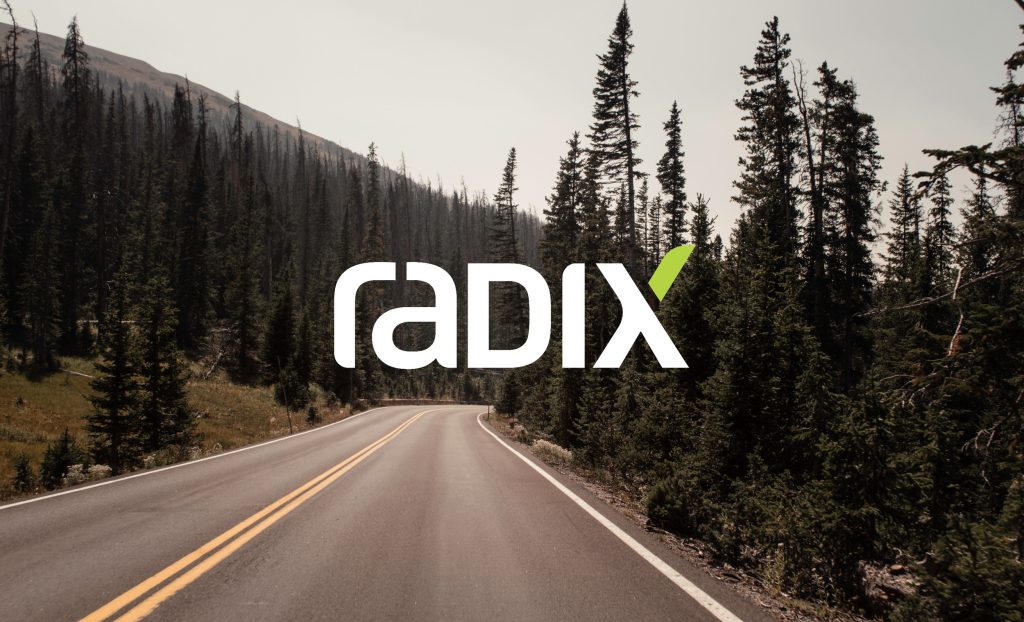 Radix Engineering & Software