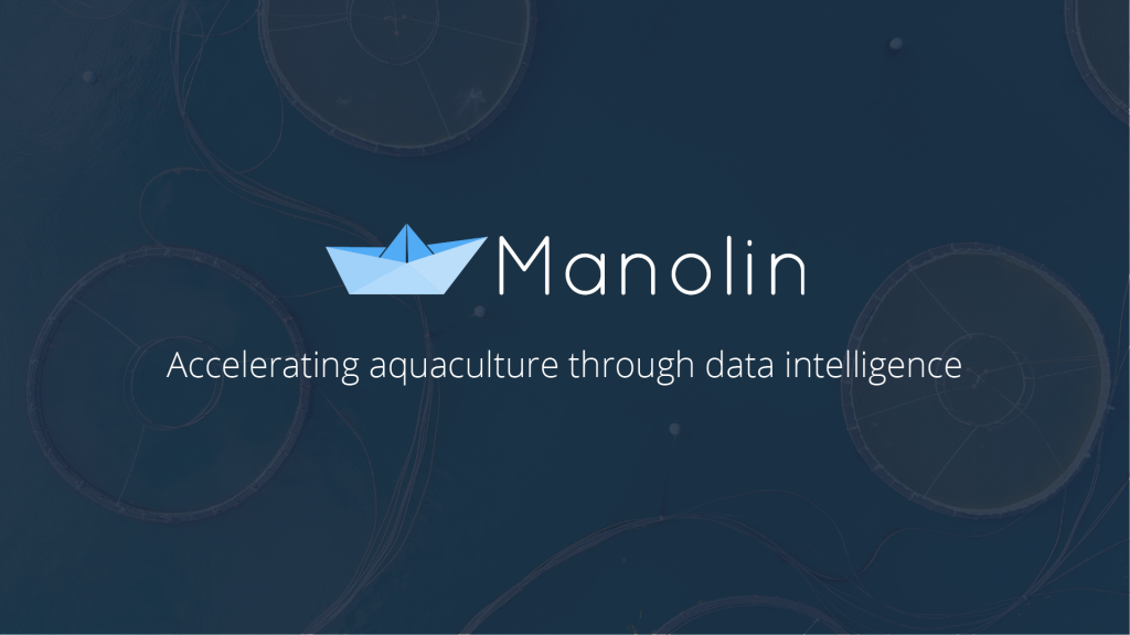 Manolin