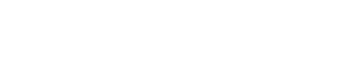 RapidAI
