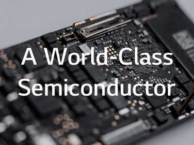 LX Semicon