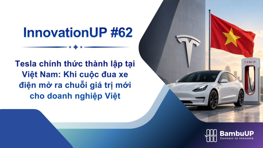 Tesla Officially Enters Vietnam: How the EV Race Is Opening a New Value ...