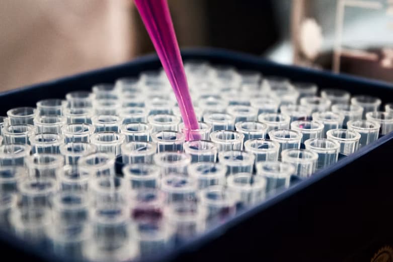 Microbiome & Longevity: Top Startups Rewiring How We Age